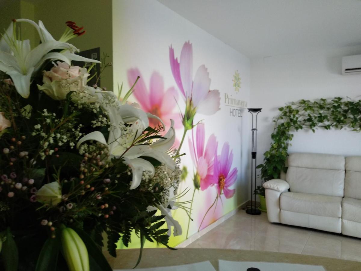 Hotel Primavera Calasparra Dış mekan fotoğraf